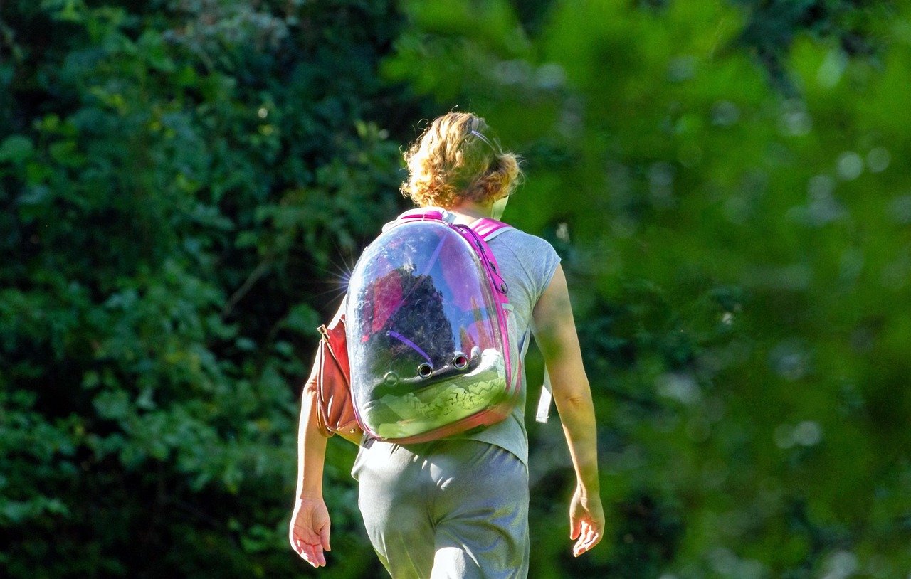 student, school girl, walking to school, nature