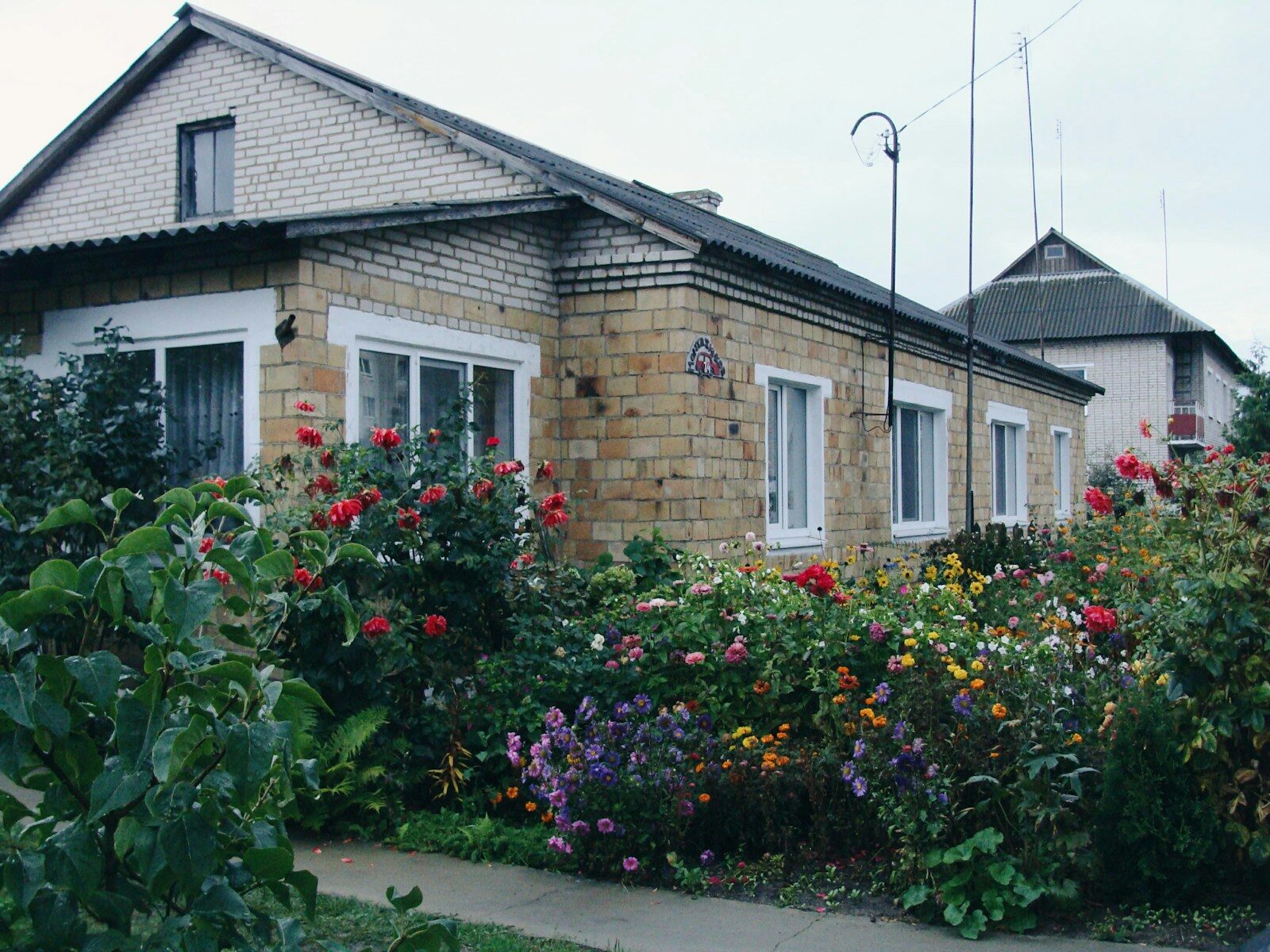 A house with a garden full of flowers.